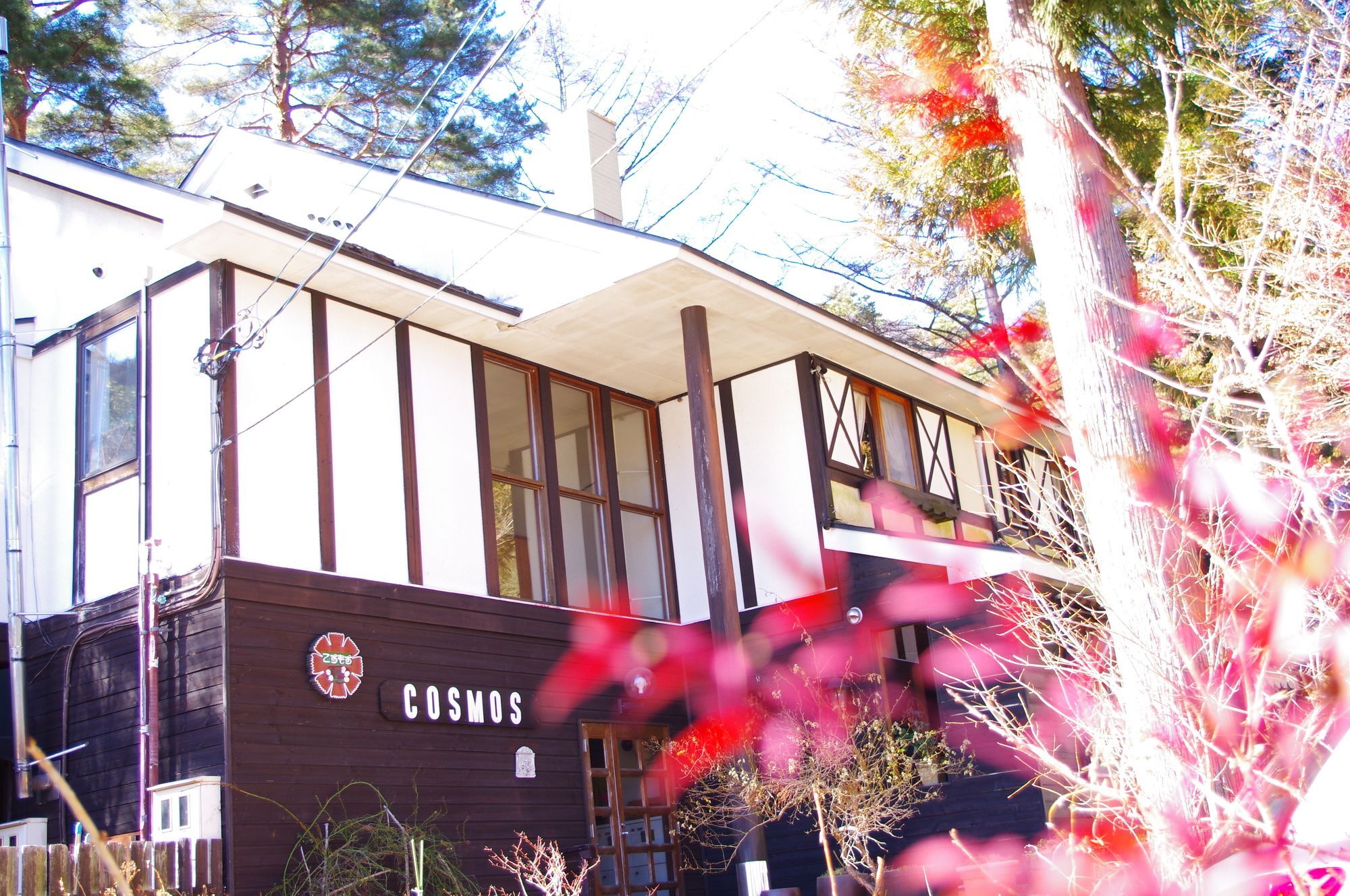 Forest Resort Cosmos Fujikawaguchiko Zewnętrze zdjęcie